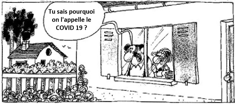 Survol