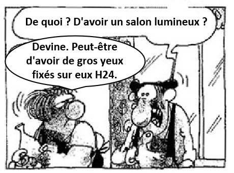 Survol