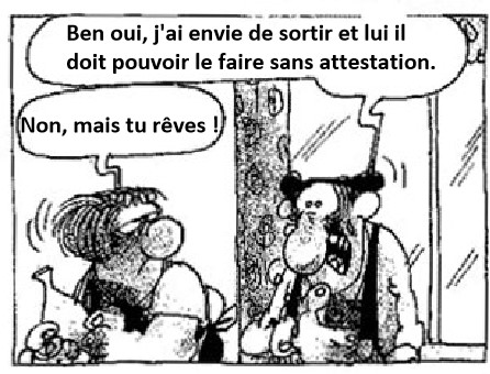 Survol