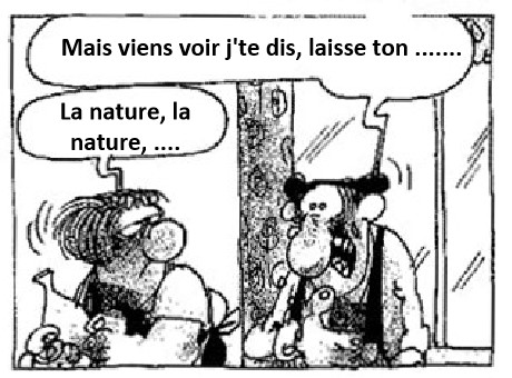 Survol