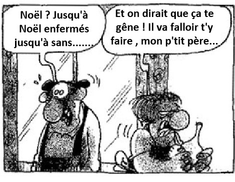 Survol