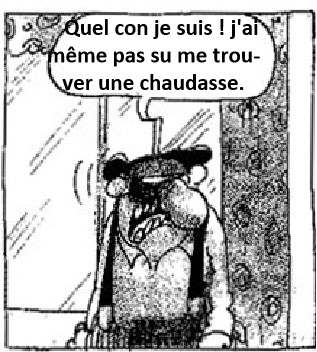 Survol